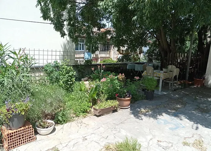 Apartment Todor